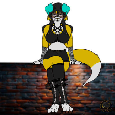 Full Body Commission